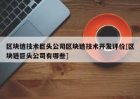 区块链技术巨头公司区块链技术开发评价[区块链巨头公司有哪些]