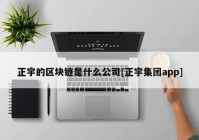 正宇的区块链是什么公司[正宇集团app]