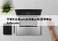 宁波什么是ipfs区块链公司[区块链ipfsflecoin]